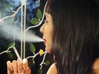 Smokevision Special 23