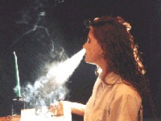 Alexis Professional Attire Double H Videos