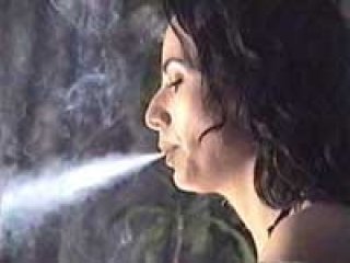 California Dreamin Volume 2 Double H Videos